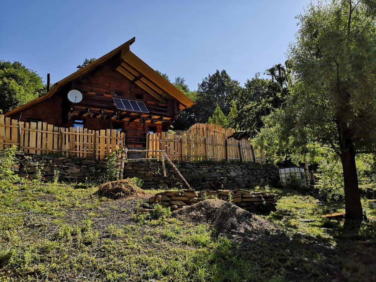Pensiunea Izvorul Bucuriei Siriu Exterior photo